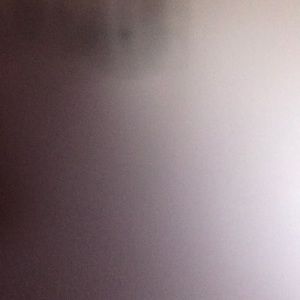 Meet your Posher, Ann